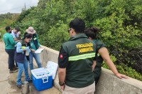 Prefeitura de Pitimbu e Sudema realizam ação de monitoramento ambiental no manguezal de Praia Bela